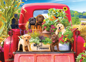 Stowaways Car By Kodak
