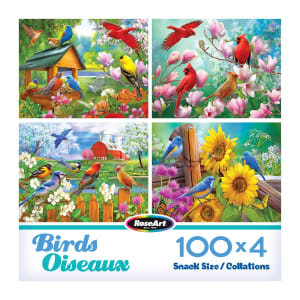 Snack Size - Birds Oiseaux Flower & Garden By RoseArt