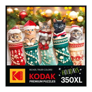 Kodak 350Pc Kitten Stockings Big Cats By RoseArt