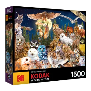 Night Owls Birds By Kodak