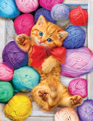 Cuddly Yarn Box Cats By Kodak