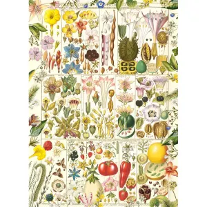 RHS Botanical Bliss Collage By Gibsons