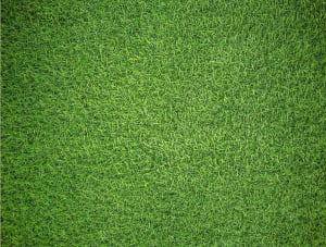 Natural Grass - Impuzzible No.7 Nature By All Jigsaw Puzzles