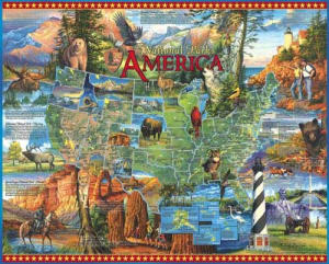 National Parks United States By White Mountain