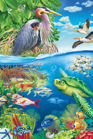 Air and Sea Sea Life By Cobble Hill