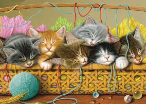 Kittens in Basket Cats By Cobble Hill