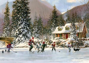 Hockey Pond Sports By Cobble Hill