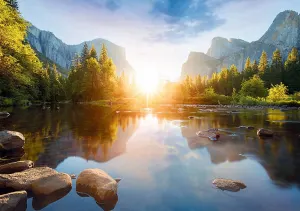 Mountain Pond Landscape By Trefl