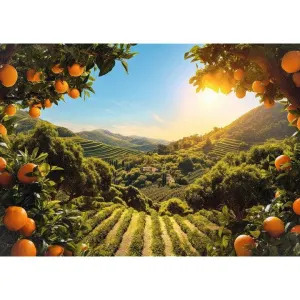 Sunsets Mountain Orange Grove Landscape By Trefl