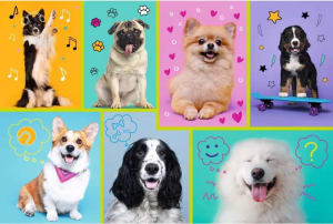 In the world of dogs Dogs By Trefl