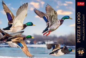 Premium Plus Mallards in Flight Birds By Trefl
