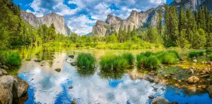 Yosemite Valley - Scratch and Dent Landscape By Castorland