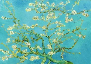 Van Gogh: Almond Blossom Flower & Garden By Enjoy