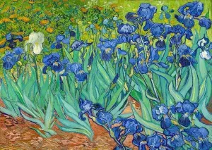 Van Gogh: Irises Flower & Garden By Enjoy
