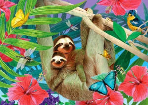Sweet Sloths Animals By Enjoy