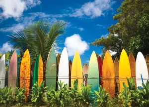 Surfer's Paradise, HI United States By Eurographics