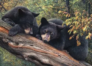 Mom's Awaiting Bear By Cobble Hill