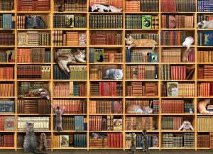 The Cat Library Books & Reading By Cobble Hill