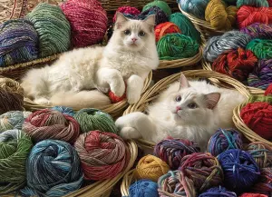 Ragdolls Cats By Cobble Hill