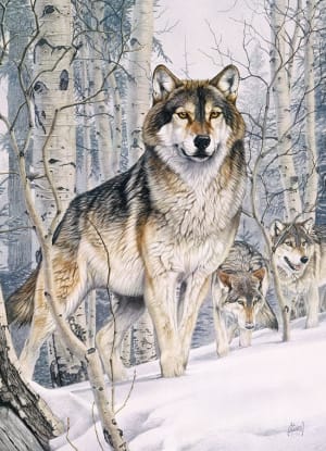 Second Glance Wolf By Cobble Hill
