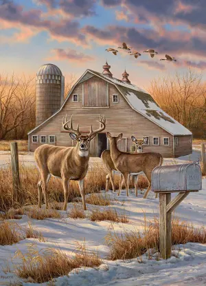 Rural Route Winter By Cobble Hill