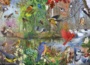 Birds of the Season Birds By Cobble Hill