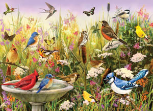 Feathered Friends - Scratch and Dent Birds By Cobble Hill