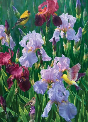 Spring Glory Flower & Garden By Cobble Hill