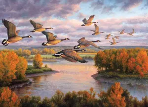 Migration Fall By Cobble Hill