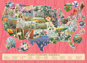 State Flowers of America Maps & Geography By Cobble Hill