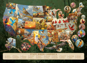 State Birds of America Maps & Geography By Cobble Hill
