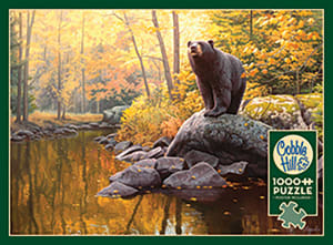 Black Bear Pond Nature By Cobble Hill