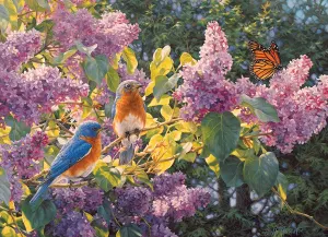 Spring Interlude Flower & Garden By Cobble Hill