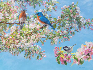 Blossom Festival Flower & Garden By Cobble Hill