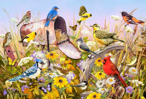 Field Song Birds By Cobble Hill