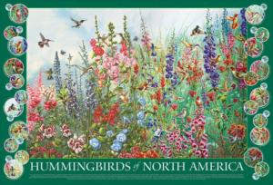 Hummingbirds of North America Birds Jigsaw Puzzle By Cobble Hill