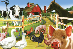 Farmyard Welcome Farm Animal By Cobble Hill