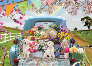 Country Road Dogs By Cobble Hill
