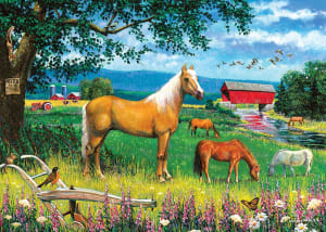 Horses in the Field Horse By Cobble Hill