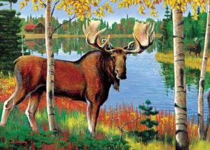 Moose Animals Dementia / Alzheimer's By Cobble Hill