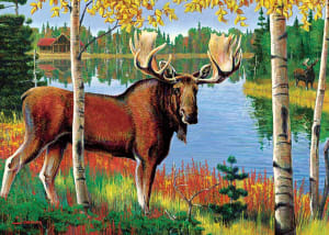 Moose Animals By Cobble Hill