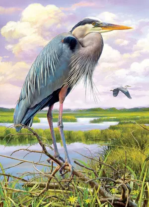 Heron Birds By Cobble Hill