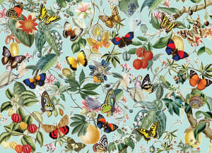 Fruit and Flutterbies Collage By Cobble Hill
