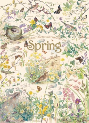 Country Diary: Spring Easter By Cobble Hill