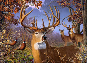 Deer and Pheasant Forest Animal By Cobble Hill