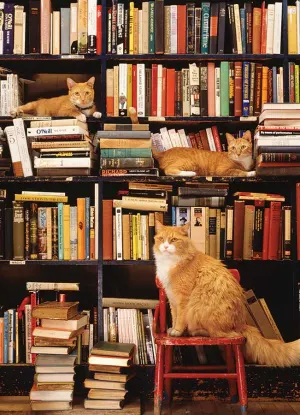 Gotham Bookstore Cats Books & Reading By Cobble Hill