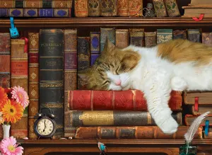 The Cat Nap Books & Reading By Eurographics