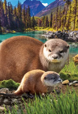 Otter Animals By Eurographics