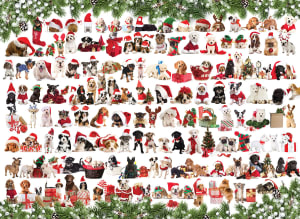 Holiday Dogs Collage By Eurographics