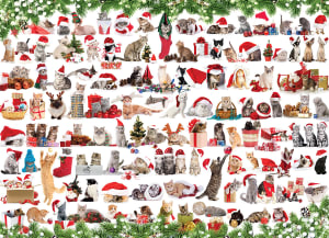 Holiday Cats Collage By Eurographics